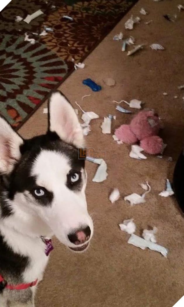 Mệt mỏi với thái độ “lồi lõm” của lũ boss khi bị ăn mắng 14