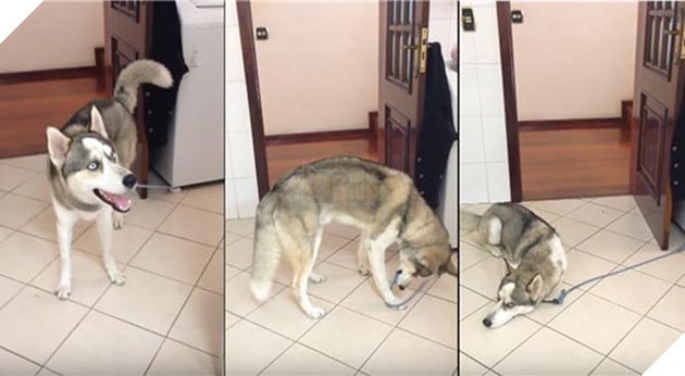 Mệt mỏi với thái độ “lồi lõm” của lũ boss khi bị ăn mắng 15