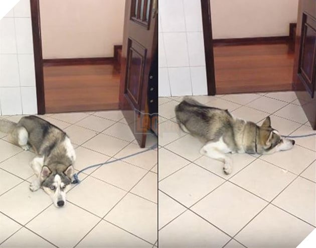 Mệt mỏi với thái độ “lồi lõm” của lũ boss khi bị ăn mắng 16