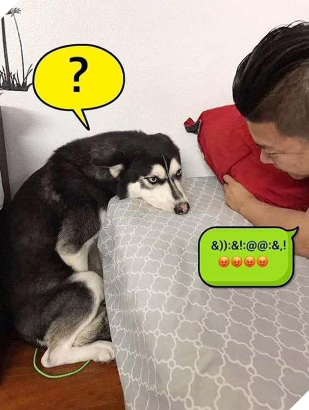 Mệt mỏi với thái độ “lồi lõm” của lũ boss khi bị ăn mắng 3