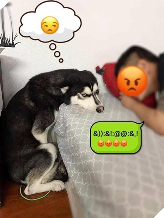 Mệt mỏi với thái độ “lồi lõm” của lũ boss khi bị ăn mắng 4