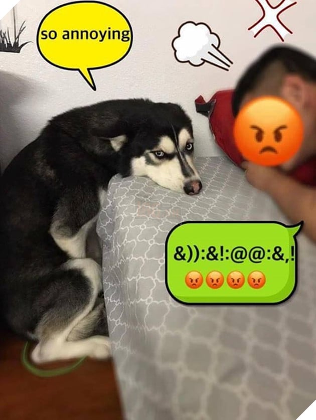 Mệt mỏi với thái độ “lồi lõm” của lũ boss khi bị ăn mắng 5