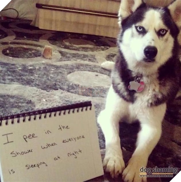 Mệt mỏi với thái độ “lồi lõm” của lũ boss khi bị ăn mắng 6