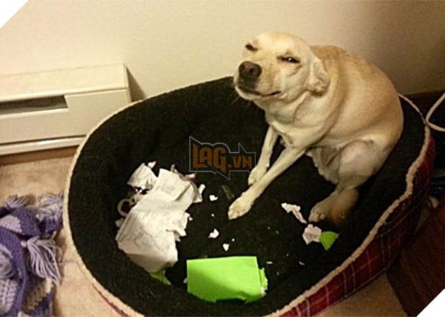 Mệt mỏi với thái độ “lồi lõm” của lũ boss khi bị ăn mắng 7