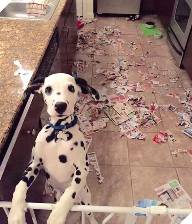 Mệt mỏi với thái độ “lồi lõm” của lũ boss khi bị ăn mắng 8