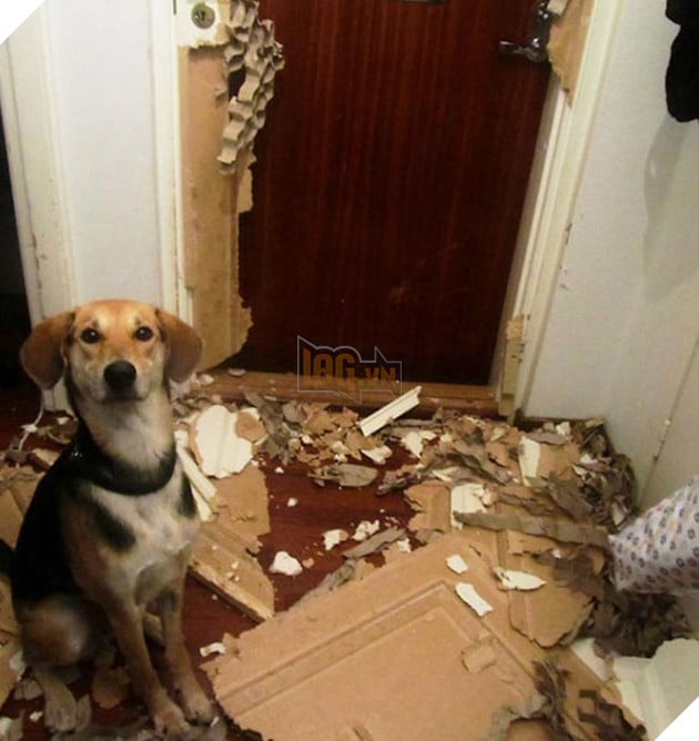 Mệt mỏi với thái độ “lồi lõm” của lũ boss khi bị ăn mắng 9