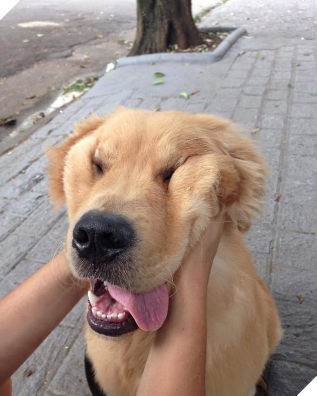 20 boss thộn hết mặt ra khi bị mấy thằng nô, con sen véo má - Ảnh 5.