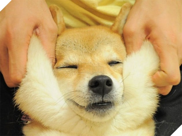 20 boss thộn hết mặt ra khi bị mấy thằng nô, con sen véo má - Ảnh 9.