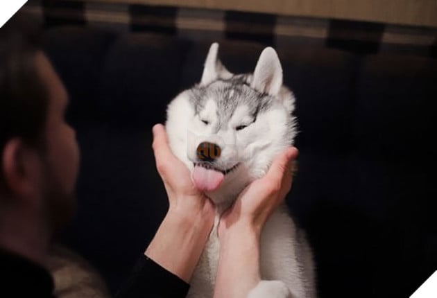 20 boss thộn hết mặt ra khi bị mấy thằng nô, con sen véo má - Ảnh 20.