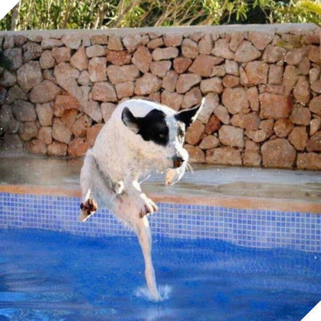 20 khoảnh khắc mang tính chất dìm hàng được chụp vào đúng lúc nhất - Ảnh 25.