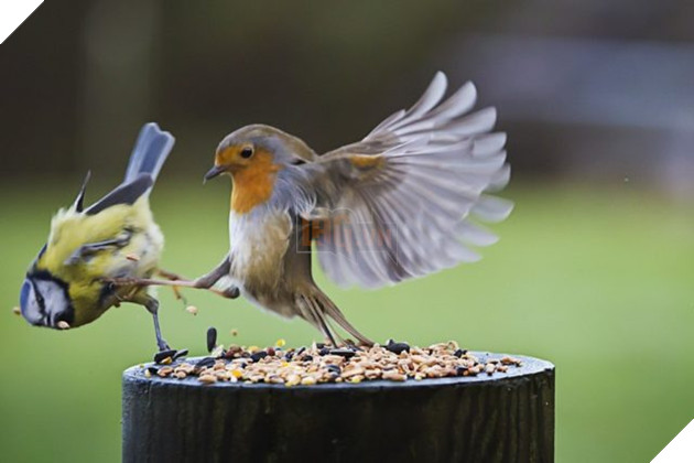 20 khoảnh khắc mang tính chất dìm hàng được chụp vào đúng lúc nhất - Ảnh 31.