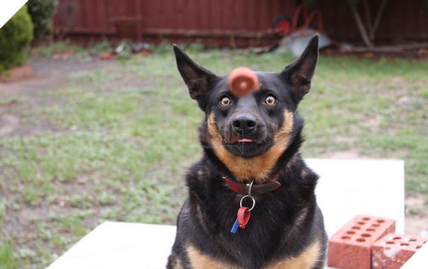 20 khoảnh khắc mang tính chất dìm hàng được chụp vào đúng lúc nhất - Ảnh 35.