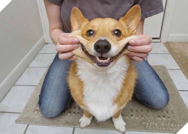 20 boss thộn hết mặt ra khi bị mấy thằng nô, con sen véo má - Ảnh 38.