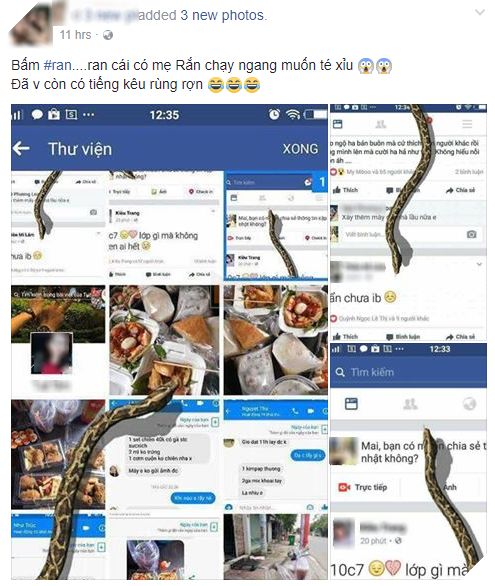 
Tất cả chỉ là một trò đùa được khởi xướng ban đầu bởi một số fanpage lớn.
