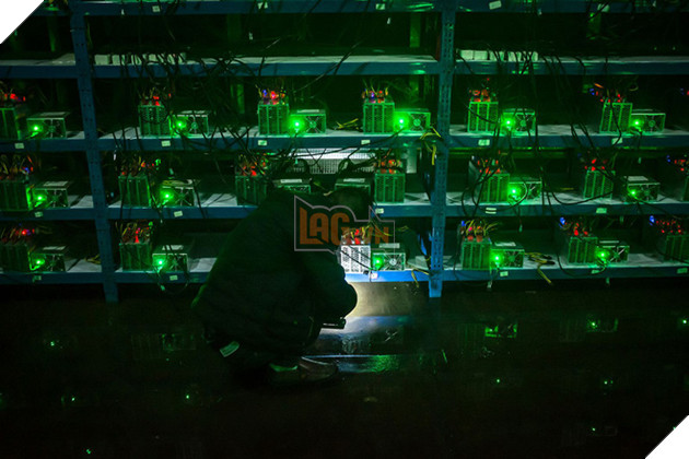 
Một nhân viên kiếm tra hoạt động của máy đào tiền ảo trong ca trực đêm
