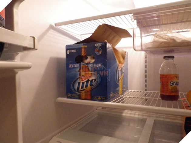 58b2e35f71a46-448505-5-650-e117ba573a-1482756403