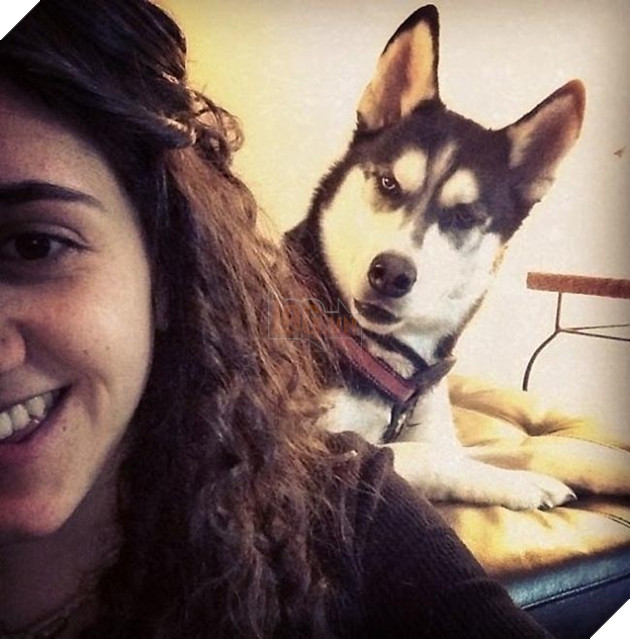 những chú chó phá đám khi chụp ảnh