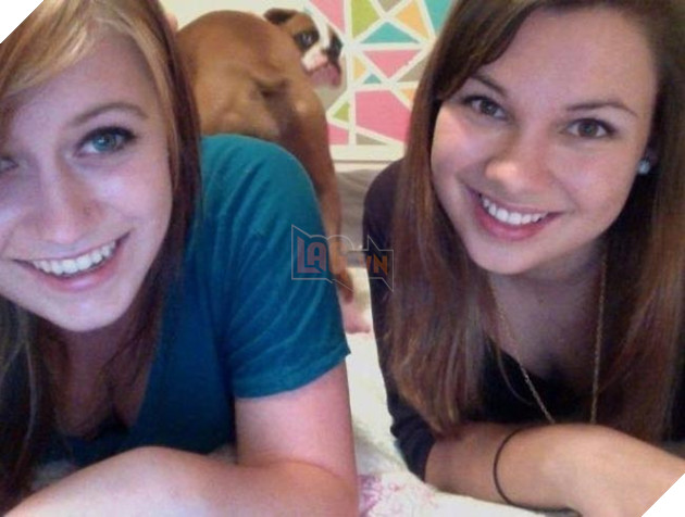 những chú chó phá đám khi chụp ảnh