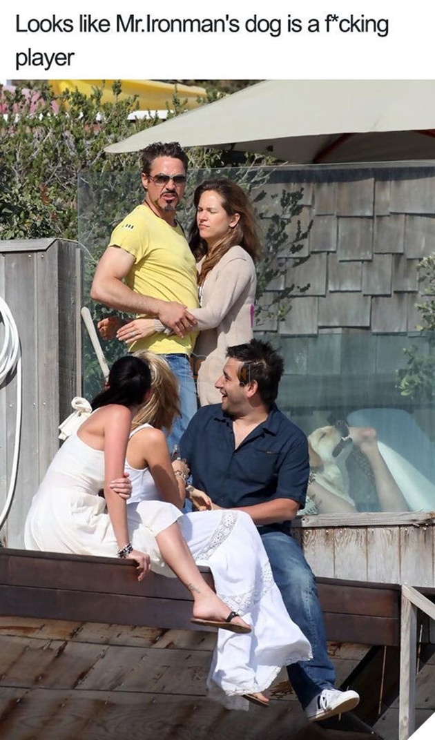 những chú chó phá đám khi chụp ảnh