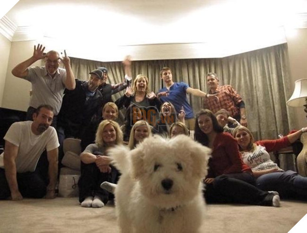 những chú chó phá đám khi chụp ảnh