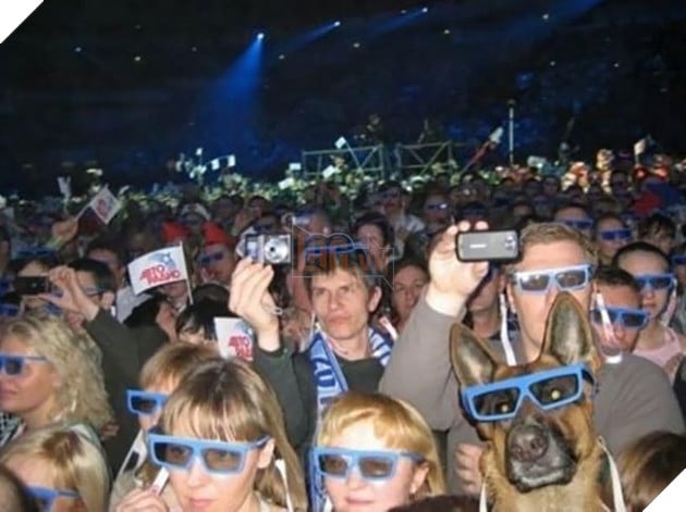 những chú chó phá đám khi chụp ảnh