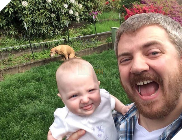 những chú chó phá đám khi chụp ảnh