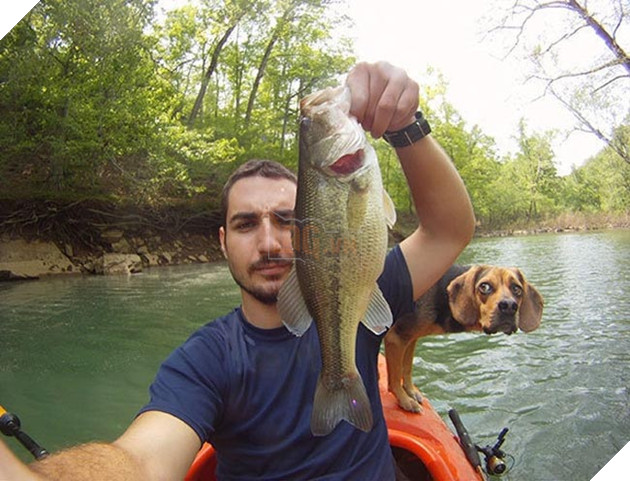 những chú chó phá đám khi chụp ảnh