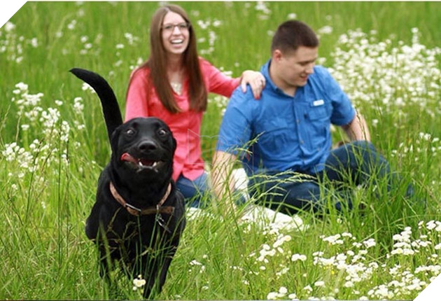 những chú chó phá đám khi chụp ảnh