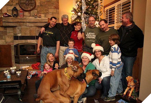 những chú chó phá đám khi chụp ảnh