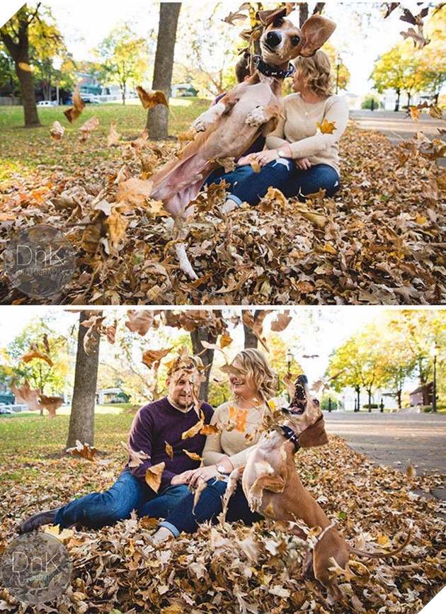 những chú chó phá đám khi chụp ảnh