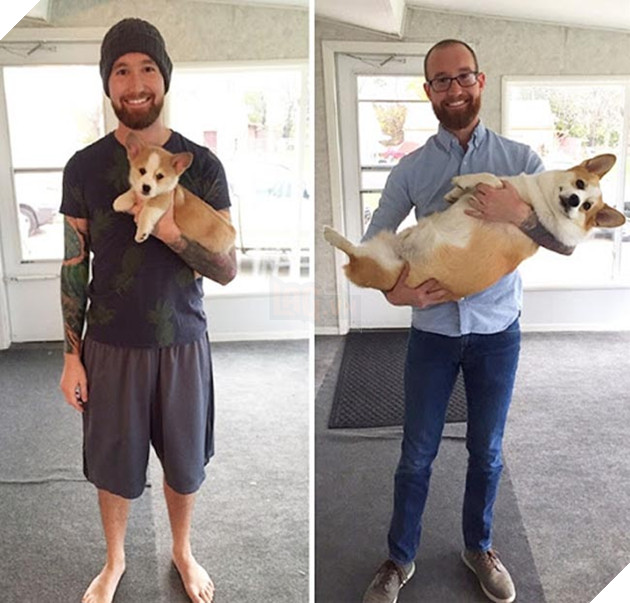 chú chó dậy thì thành công