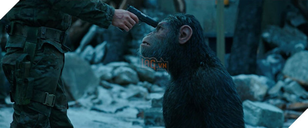 Những chi tiết thú vị về bom tấn “War for the Planet of the Apes” 9
