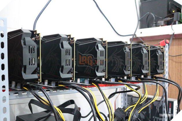 Còn lại gì sau cơn bão trâu cày ? 4