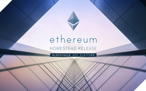 Còn lại gì sau cơn bão trâu cày ? 3