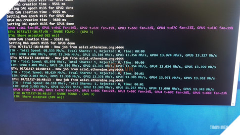 Còn lại gì sau cơn bão trâu cày ? 6