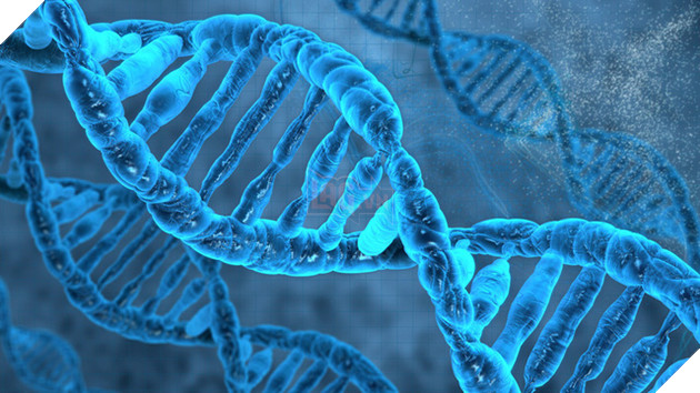 Ứng dụng phân tích DNA, giúp game thủ béo bụng giảm cân mà không cần tập luyện vật vả