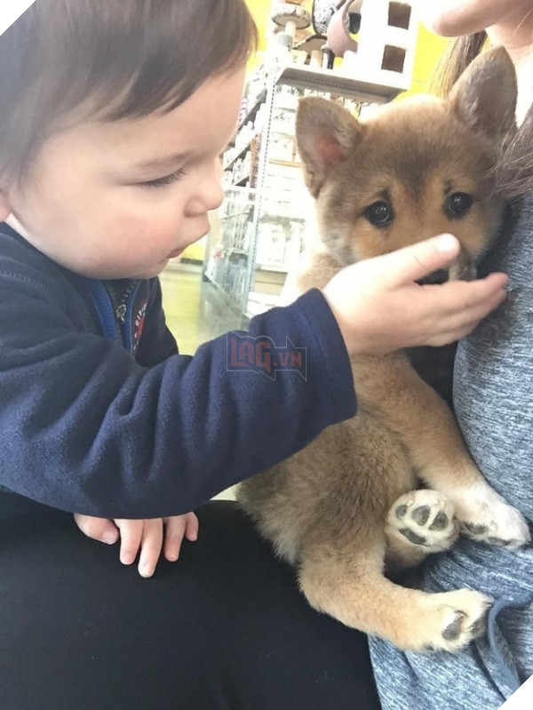 (Ảnh: Veronicagillas)