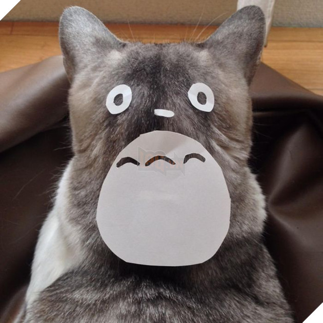 Người Nhật Bản đang có trào lưu cosplay Hoàng Thượng thành Totoro