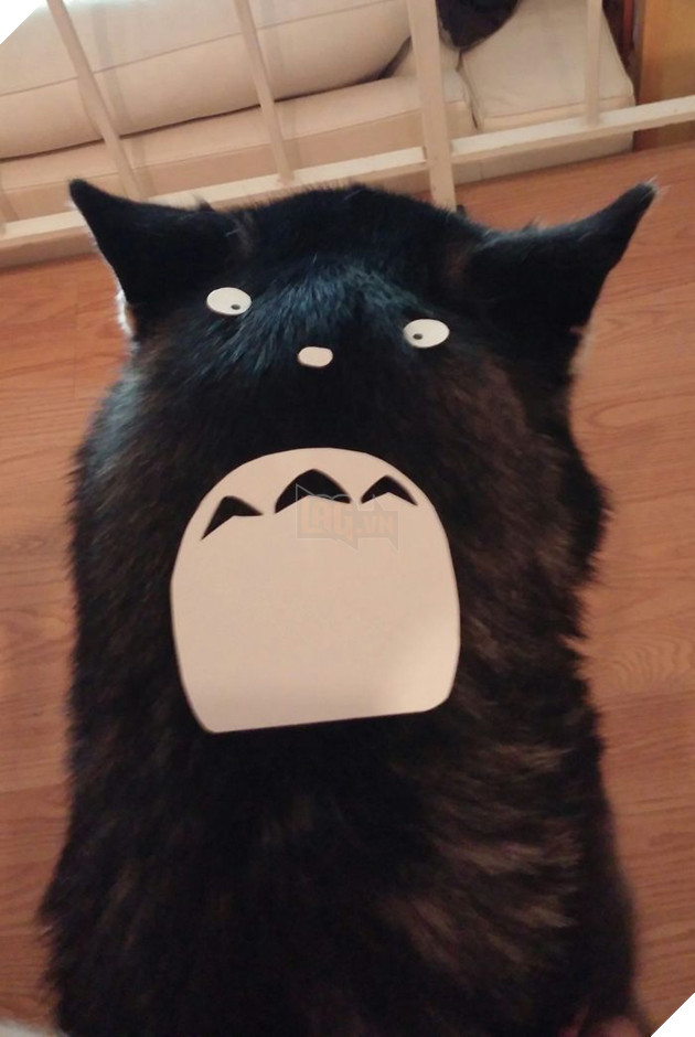 Người Nhật Bản đang có trào lưu cosplay Hoàng Thượng thành Totoro 10