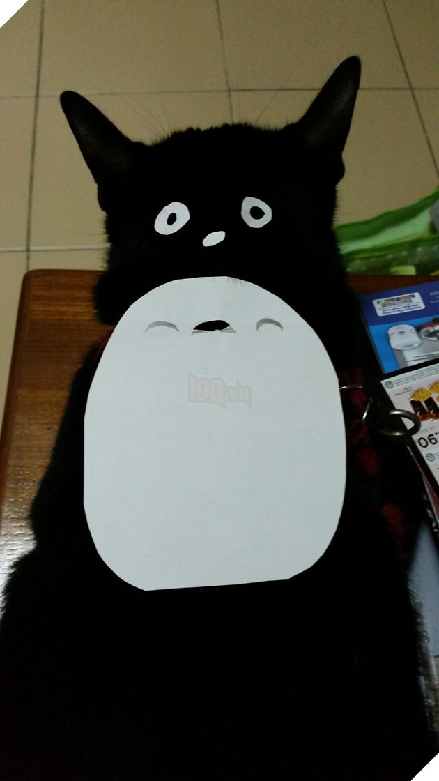 Người Nhật Bản đang có trào lưu cosplay Hoàng Thượng thành Totoro 12
