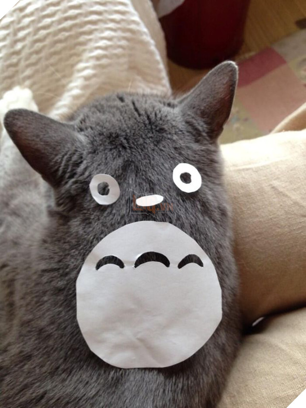 Người Nhật Bản đang có trào lưu cosplay Hoàng Thượng thành Totoro 2