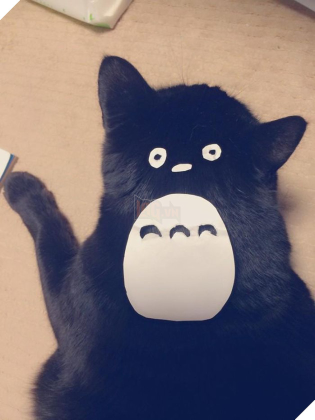 Người Nhật Bản đang có trào lưu cosplay Hoàng Thượng thành Totoro 3