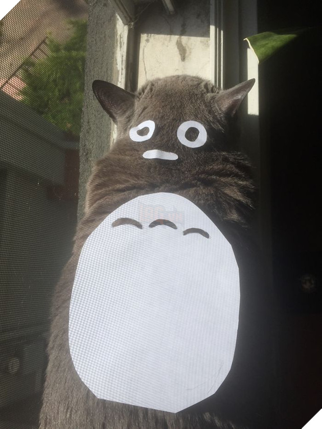 Người Nhật Bản đang có trào lưu cosplay Hoàng Thượng thành Totoro 5