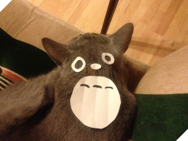 Người Nhật Bản đang có trào lưu cosplay Hoàng Thượng thành Totoro 6