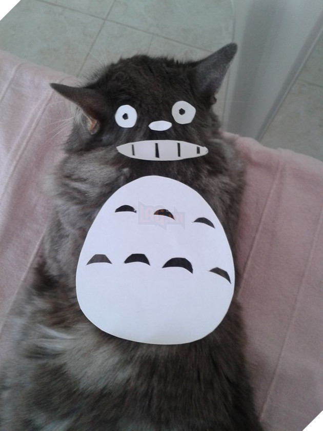 Người Nhật Bản đang có trào lưu cosplay Hoàng Thượng thành Totoro 7