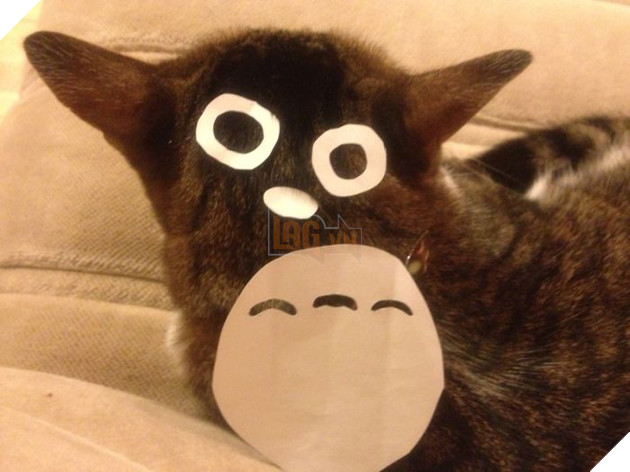 Người Nhật Bản đang có trào lưu cosplay Hoàng Thượng thành Totoro 8