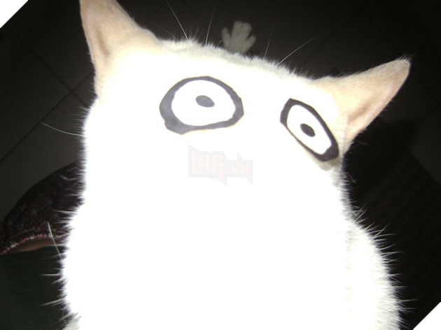 Người Nhật Bản đang có trào lưu cosplay Hoàng Thượng thành Totoro 9