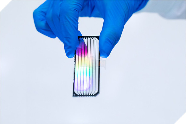 
Giá cả của xếp trình tự gen ngày càng rẻ, mở ra cơ hội bùng nổ ứng dụng trong lĩnh vực này
