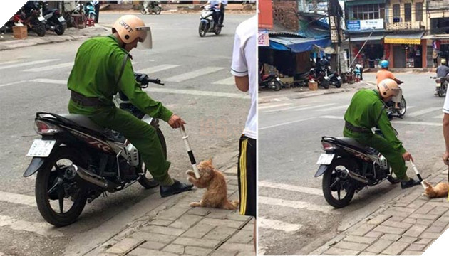 anh công an trêu mèo ven đường