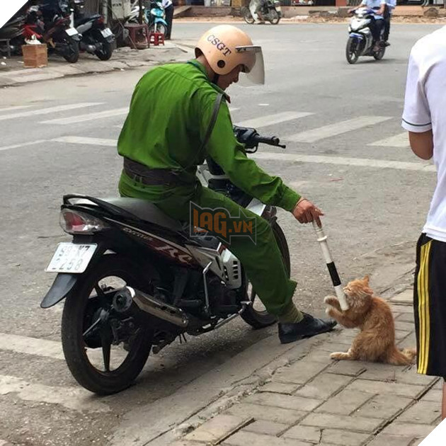 anh công an trêu mèo ven đường
